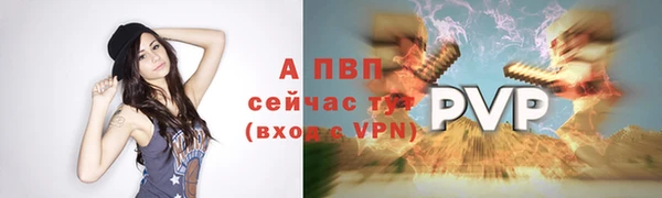 мяу мяу мука Белокуриха