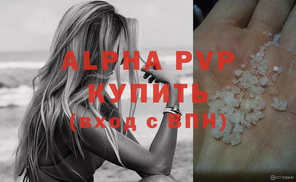 мяу мяу мука Белокуриха