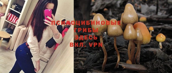 мяу мяу мука Белокуриха