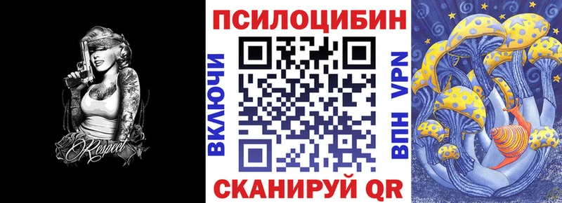 Псилоцибиновые грибы Psilocybine cubensis  Маркс 